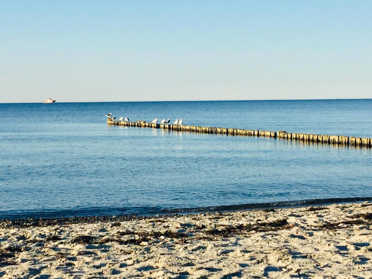 Aparthotel Waterkant Suites - Fewos Am Meer Mit Spa Бёргеренде-Ретвиш Экстерьер фото
